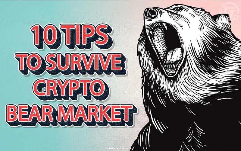 How to Navigate the Crypto Bear Market: Tips for Survival